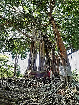 30a.  Nosy Be, Madagascar (Day 1)_stitch-topaz-denoise-sharpen
