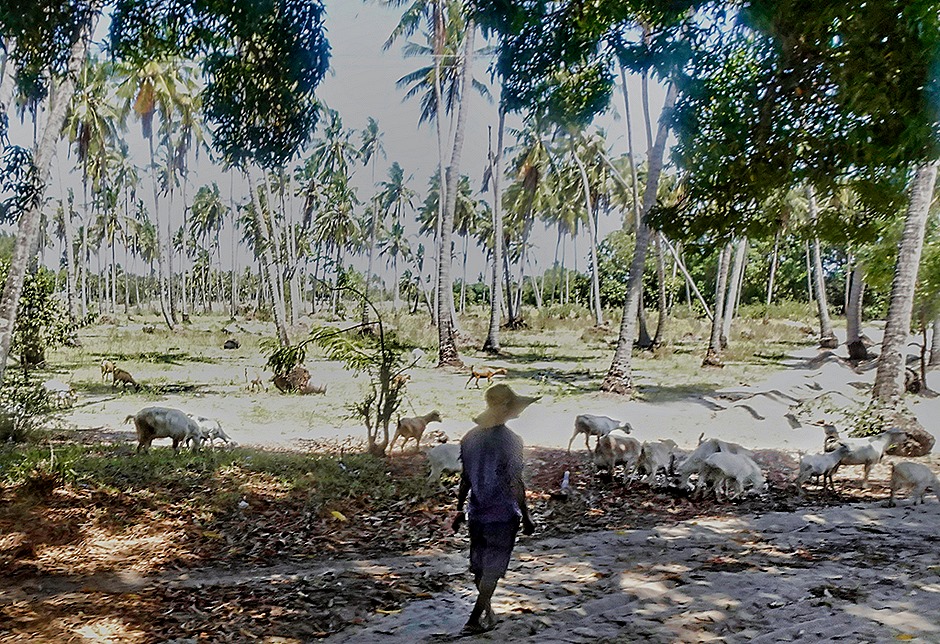 45.  Dar es Salaam (Bagamoyo)-topaz-sharpen