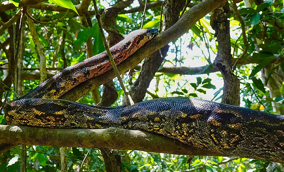 47. Nosy Be, Madagascar (Day 2)-topaz-denoise-sharpen