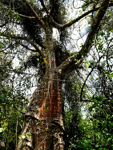 5.  Zanzibar, Tanzania (Day 1)-topaz-denoise-sharpen