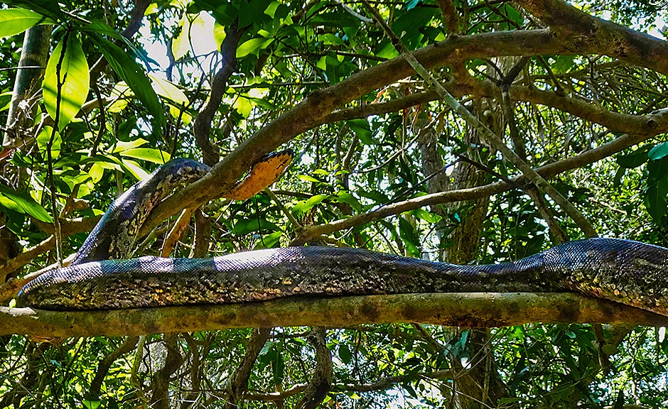 51. Nosy Be, Madagascar (Day 2)-topaz-denoise