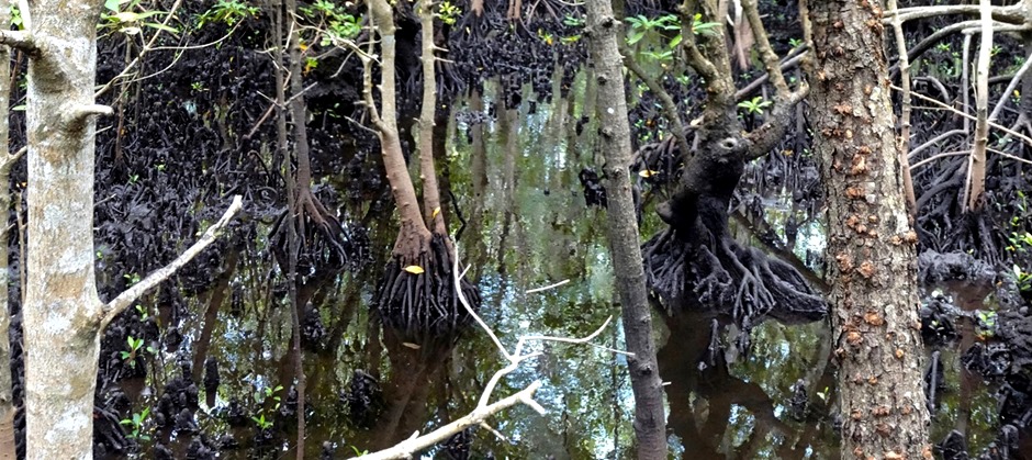 52a.  Zanzibar, Tanzania (Day 1)_stitch-topaz-sharpen