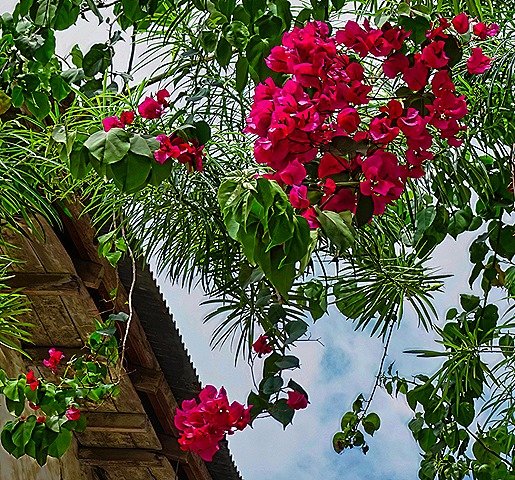 56.  Zanzibar (Day 2)-topaz-denoise