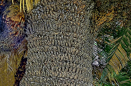 59a.  Zanzibar (Day 2)_stitch-topaz-denoise-sharpen