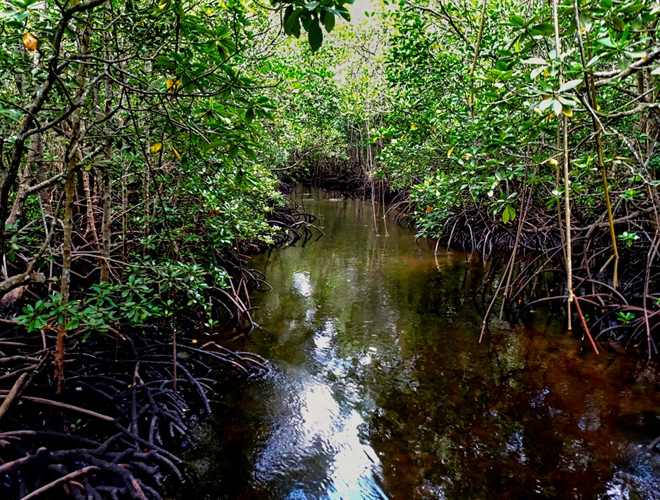 59a.  Zanzibar, Tanzania (Day 1)_stitch-topaz-denoise-sharpen