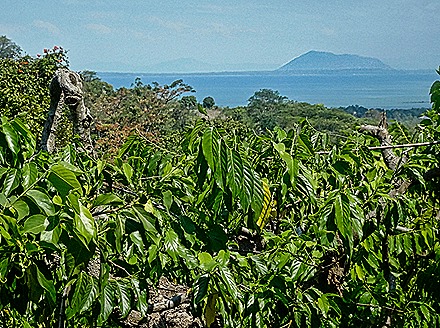 61.  Nosy Be, Madagascar (Day 1)-topaz-sharpen