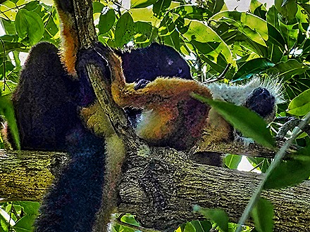 72. Nosy Be, Madagascar (Day 2)-topaz-denoise-sharpen