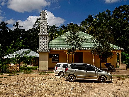 74.  Zanzibar, Tanzania (Day 1)-topaz-denoise