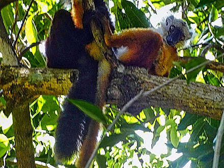 78. Nosy Be, Madagascar (Day 2)-topaz-sharpen