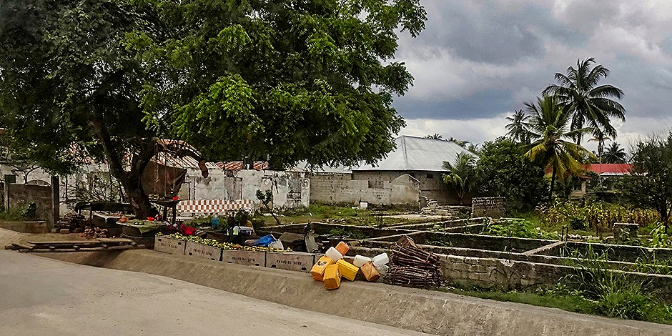 78.  Zanzibar, Tanzania (Day 1)-topaz-denoise