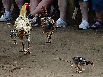 82.  Zanzibar, Tanzania (Day 1)-topaz-denoise-sharpen