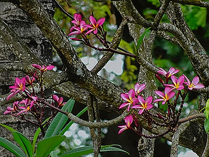 83.  Zanzibar (Day 2)-topaz-sharpen