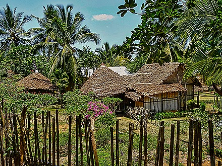 86. Nosy Be, Madagascar (Day 2)-topaz-denoise