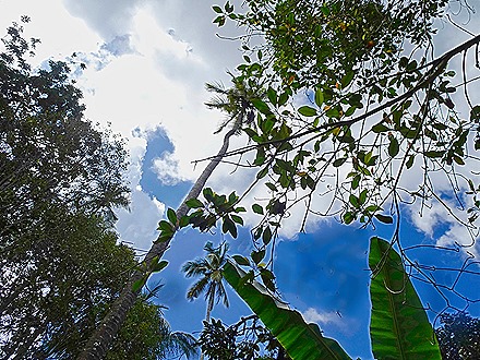 92.  Zanzibar, Tanzania (Day 1)-topaz-sharpen