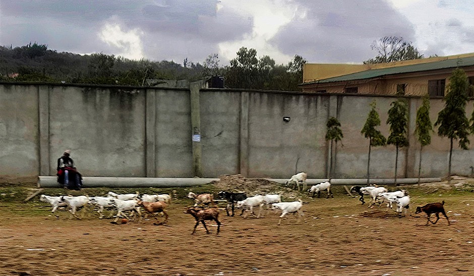 93.  Dar es Salaam (Bagamoyo)-topaz-denoise