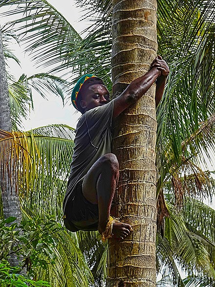 95.  Zanzibar, Tanzania (Day 1)-topaz-denoise-faceai-sharpen