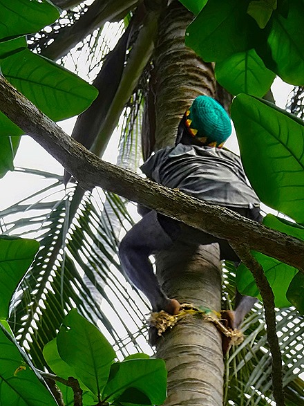 97.  Zanzibar, Tanzania (Day 1)-topaz-denoise