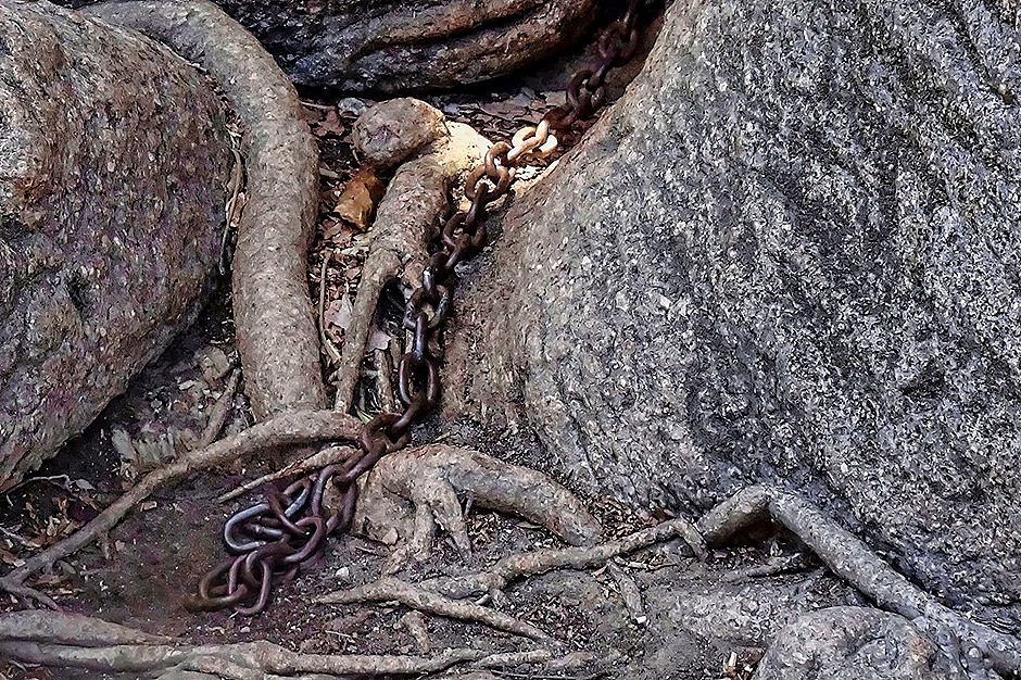 DSC00161-topaz-denoise