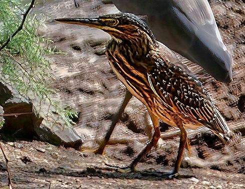 106.  Dakar, Senegal-topaz-enhance-sharpen-gigapixel-very_compressed-scale-2_00x