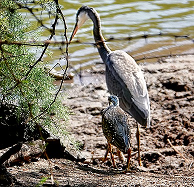 107.  Dakar, Senegal-topaz-enhance