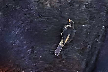 150a.  Dakar, Senegal-topaz-enhance-topaz-enhance