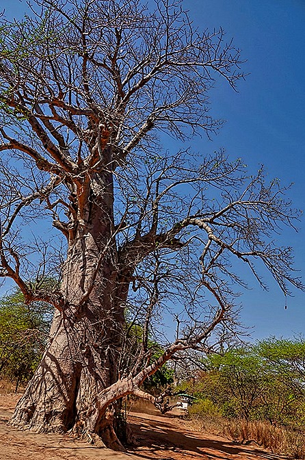155.  Dakar, Senegal-topaz-enhance