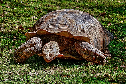 158.  Dakar, Senegal-topaz-enhance