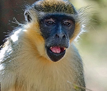 16.  Dakar, Senegal-topaz-enhance-sharpen