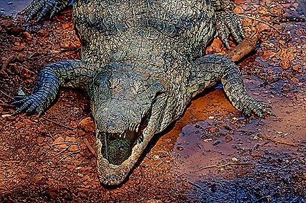 166.  Dakar, Senegal-topaz-enhance