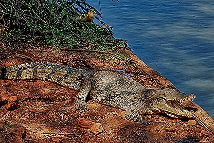 167.  Dakar, Senegal-topaz-enhance