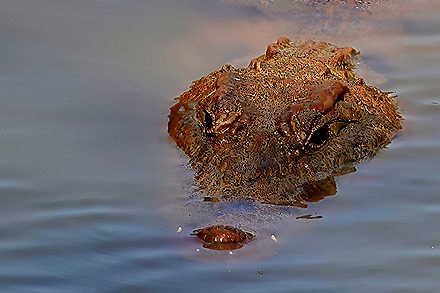 169.  Dakar, Senegal-topaz-enhance-sharpen