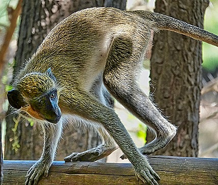 171.  Dakar, Senegal-topaz-enhance-sharpen
