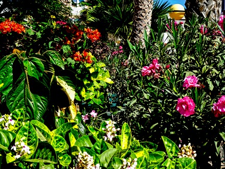 23.  Mindelo, Cabo Verde-topaz-enhance