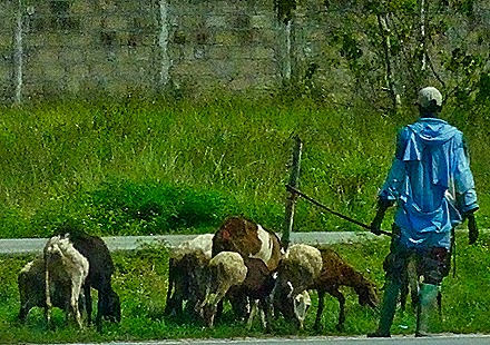 27.  Abidjan, Ivory Coast-topaz-denoise