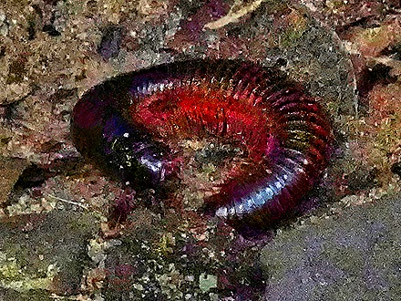 30.  Takoradi, Ghana-topaz-denoise