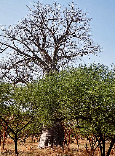 32.  Dakar, Senegal-topaz-enhance