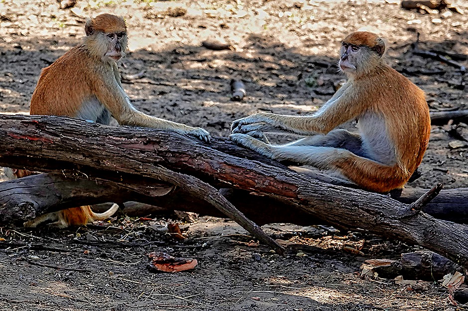 56.  Dakar, Senegal-topaz-enhance