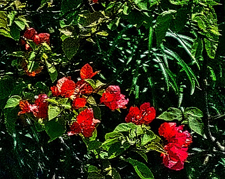 63.  Abidjan, Ivory Coast-topaz-denoise-sharpen