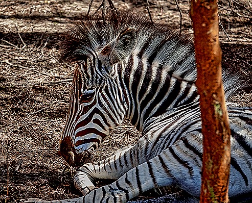 65.  Dakar, Senegal-topaz-enhance