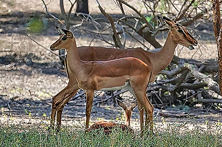 67.  Dakar, Senegal-topaz-enhance-sharpen