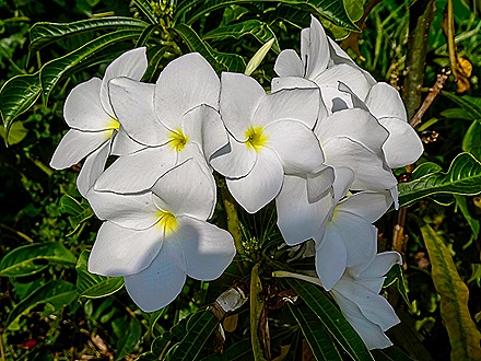 72.  Takoradi, Ghana-topaz-denoise