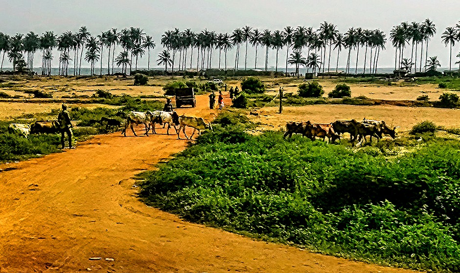 95.  Abidjan, Ivory Coast-topaz-denoise-gigapixel-hq-scale-4_00x