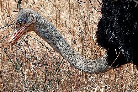 97.  Dakar, Senegal-topaz-enhance-sharpen