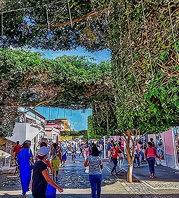 IMG_8800-topaz-enhance-gigapixel-very_compressed-scale-4_00x