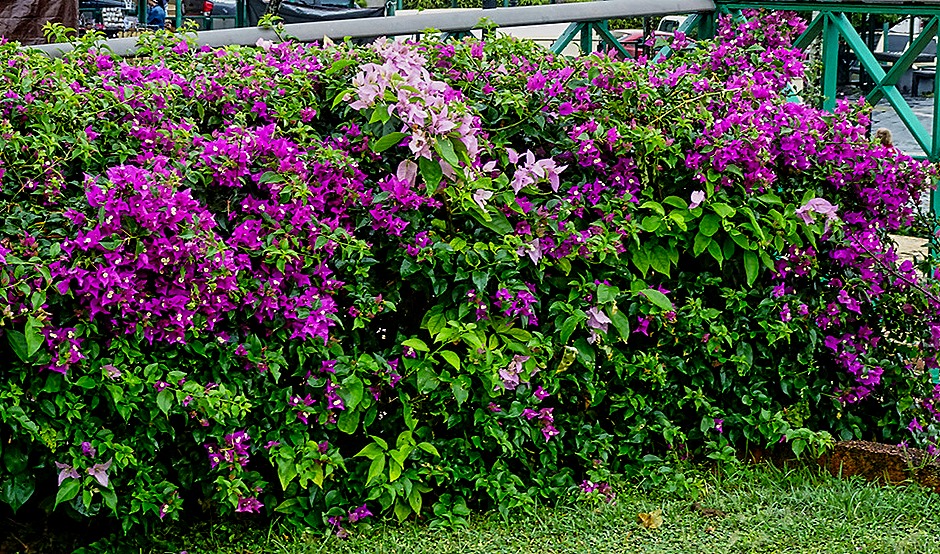 101.  San Juan, Puerto Rico