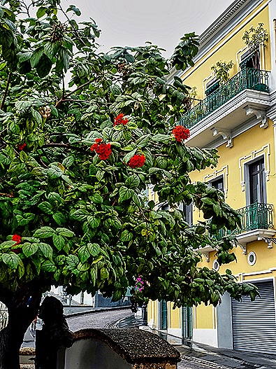 102.  San Juan, Puerto Rico