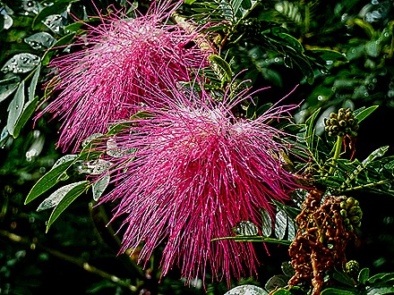 105.  San Juan, Puerto Rico