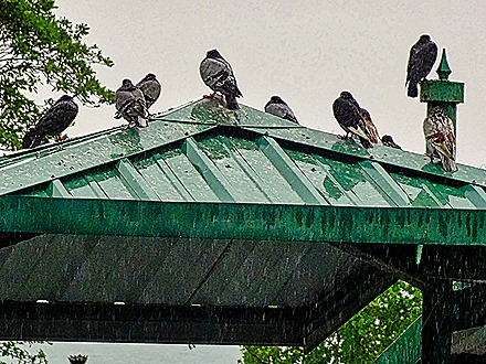 20.  San Juan, Puerto Rico-topaz-enhance