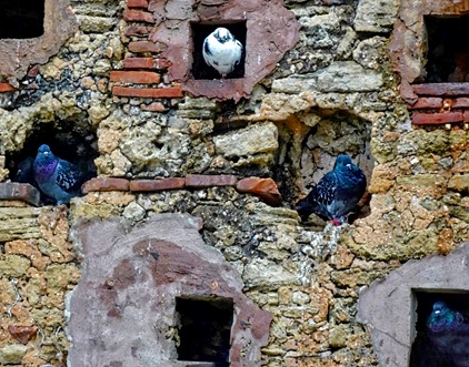 24a.  San Juan, Puerto Rico_stitch-topaz-enhance