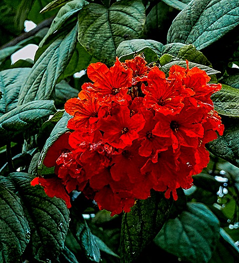 99.  San Juan, Puerto Rico